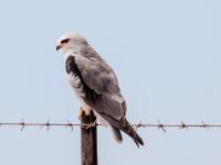 546b6babd458d82469bd72e67eae396f Exposed Photography | Fine Art Landscape & Portrait Photographer