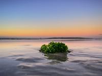 890a1953d87b8b966699214a71aac966 Exposed Photography | Fine Art Landscape & Portrait Photographer