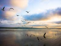 a5f00274981d3ec878df1851297606f6 Exposed Photography | Fine Art Landscape & Portrait Photographer