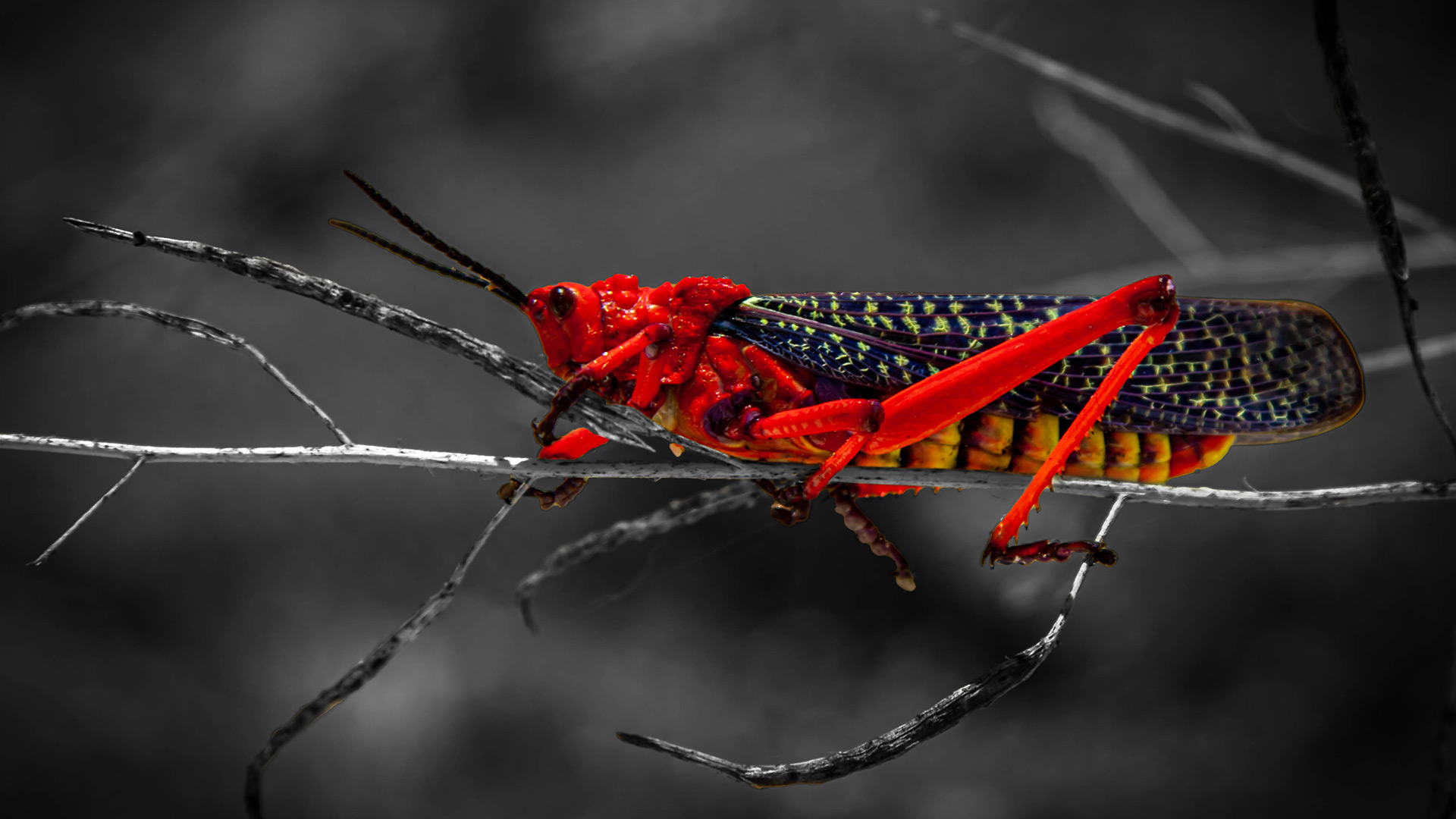 fpss-desert-wanderer Exposed Photography | Fine Art Landscape & Portrait Photographer