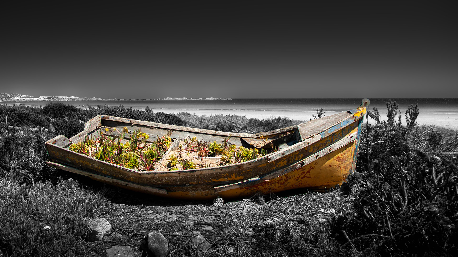 fpss-old-relic Exposed Photography | Fine Art Landscape & Portrait Photographer