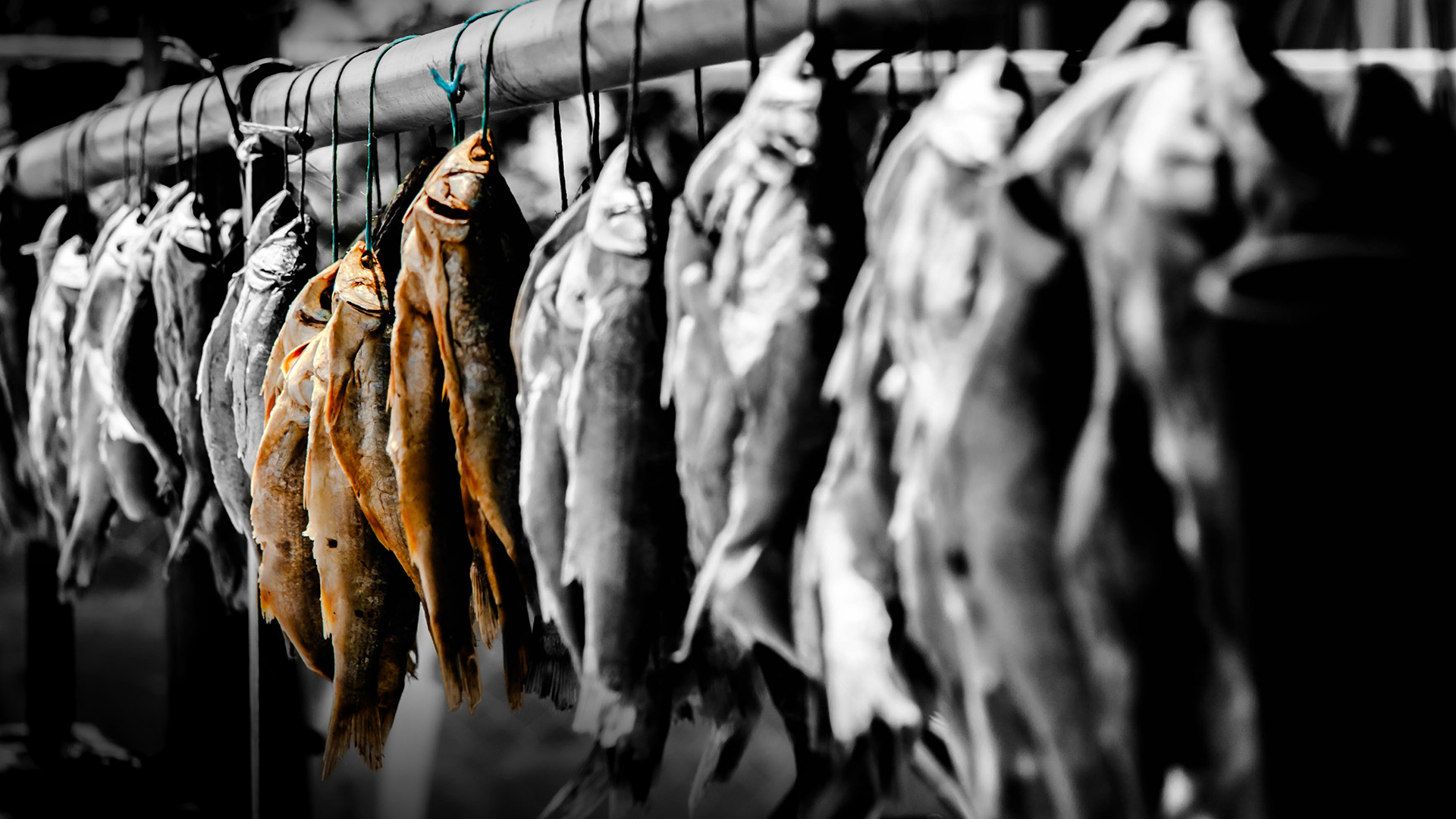 fpss-strung-out Exposed Photography | Fine Art Landscape & Portrait Photographer