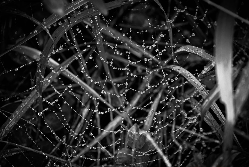 why-black-and-white Why I Shoot in Black and White (and Sometimes Don&rsquo;t) 