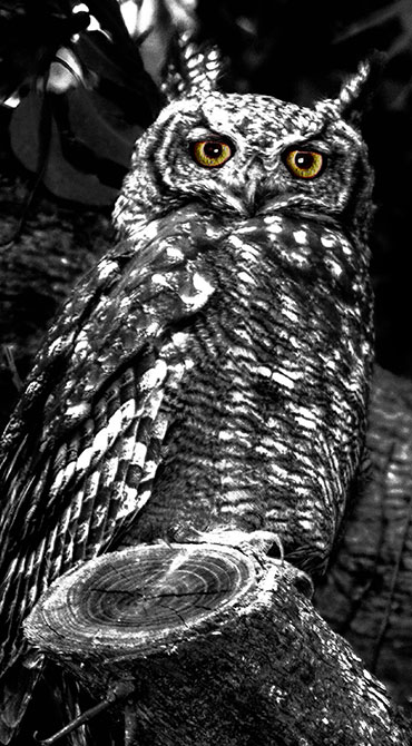 wise-eyes Exposed Photography | Fine Art Landscape & Portrait Photographer