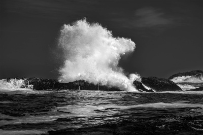 dragon-splash Dragon Splash