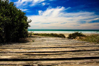 patthway-to-peace Pathway to Peace