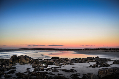 shark-skin Shark Skin